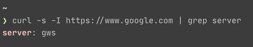 GWS in Google’s HTTP header